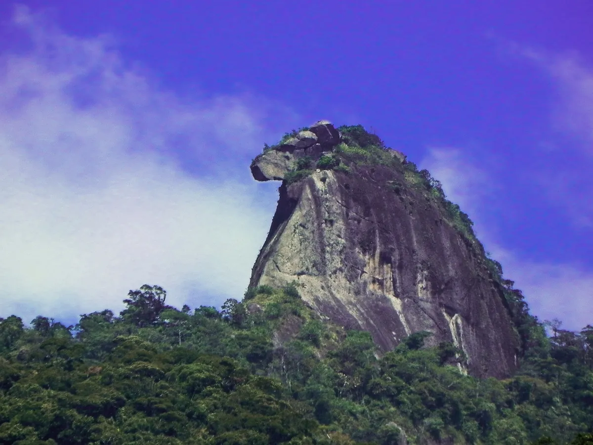 Pico do Papagaio