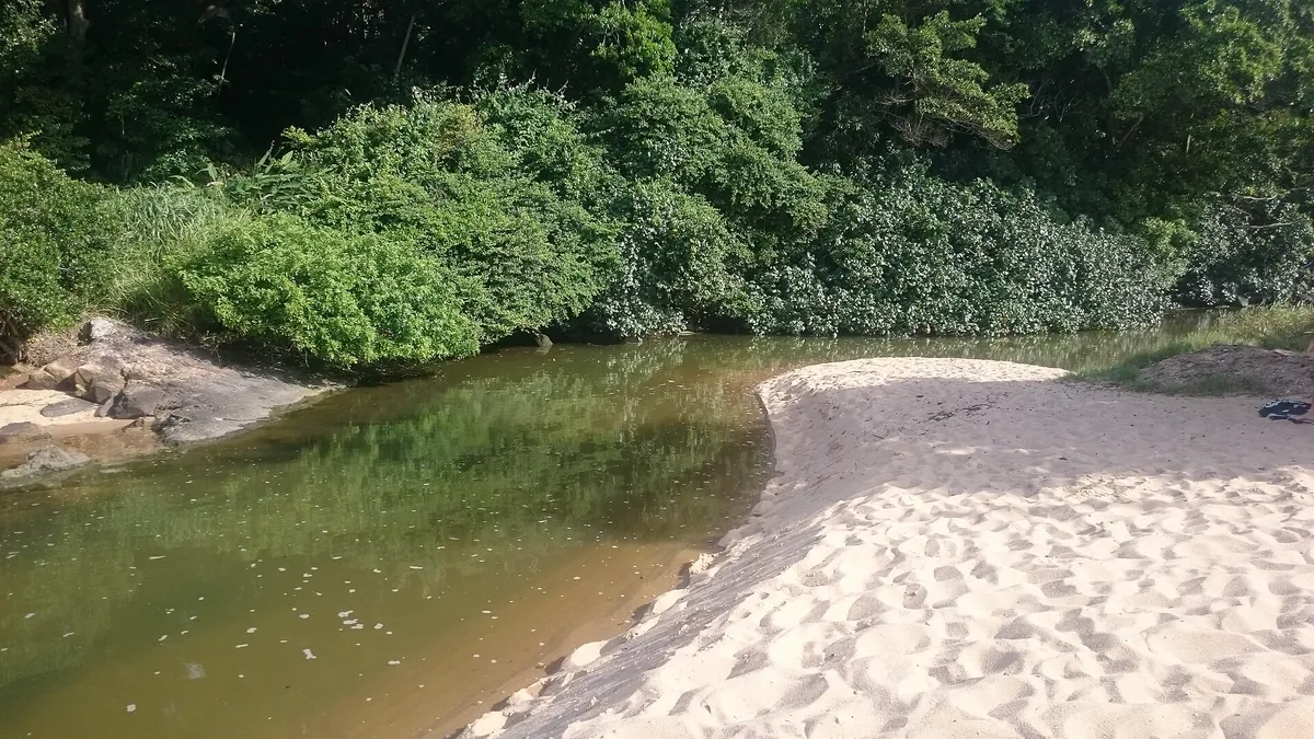 Taquaras Beach