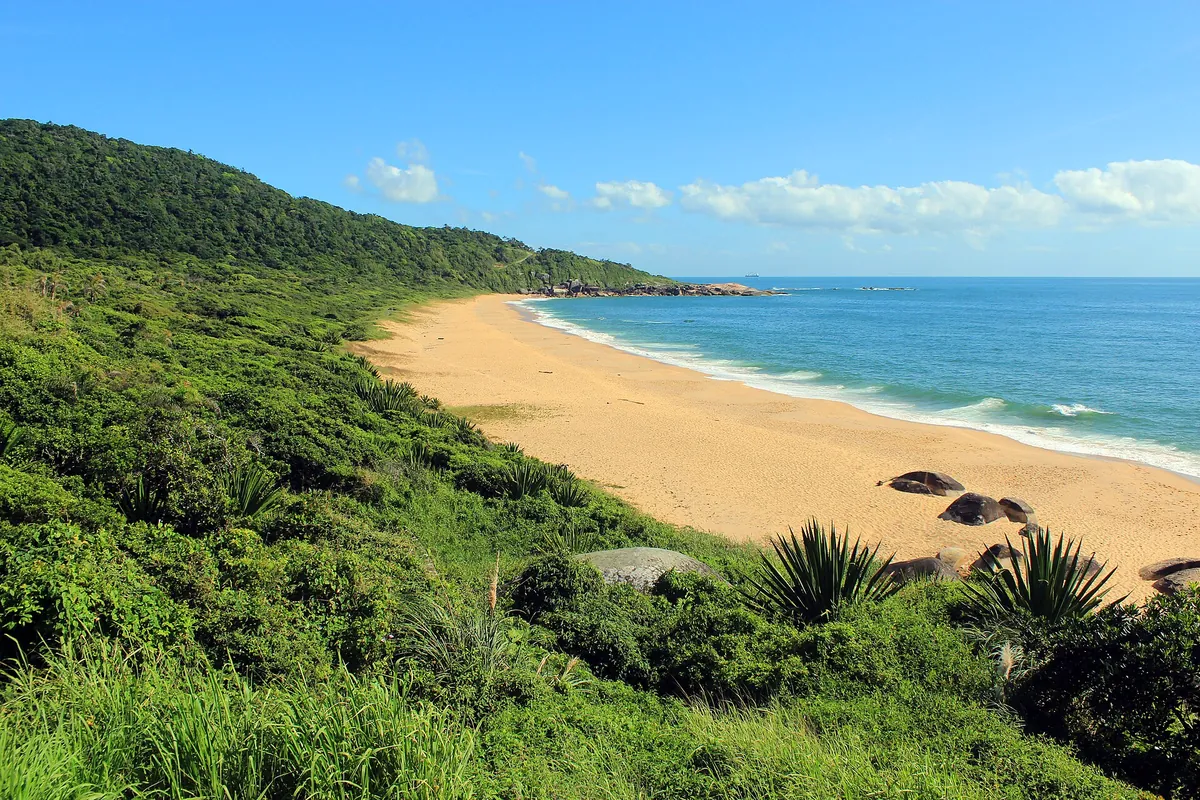Taquarinhas Beach