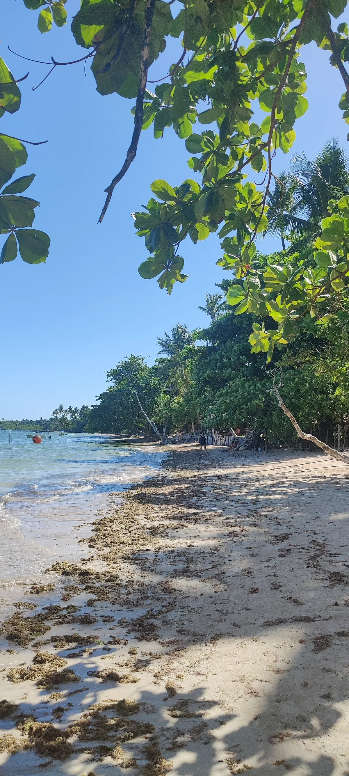 Praia de Moreré