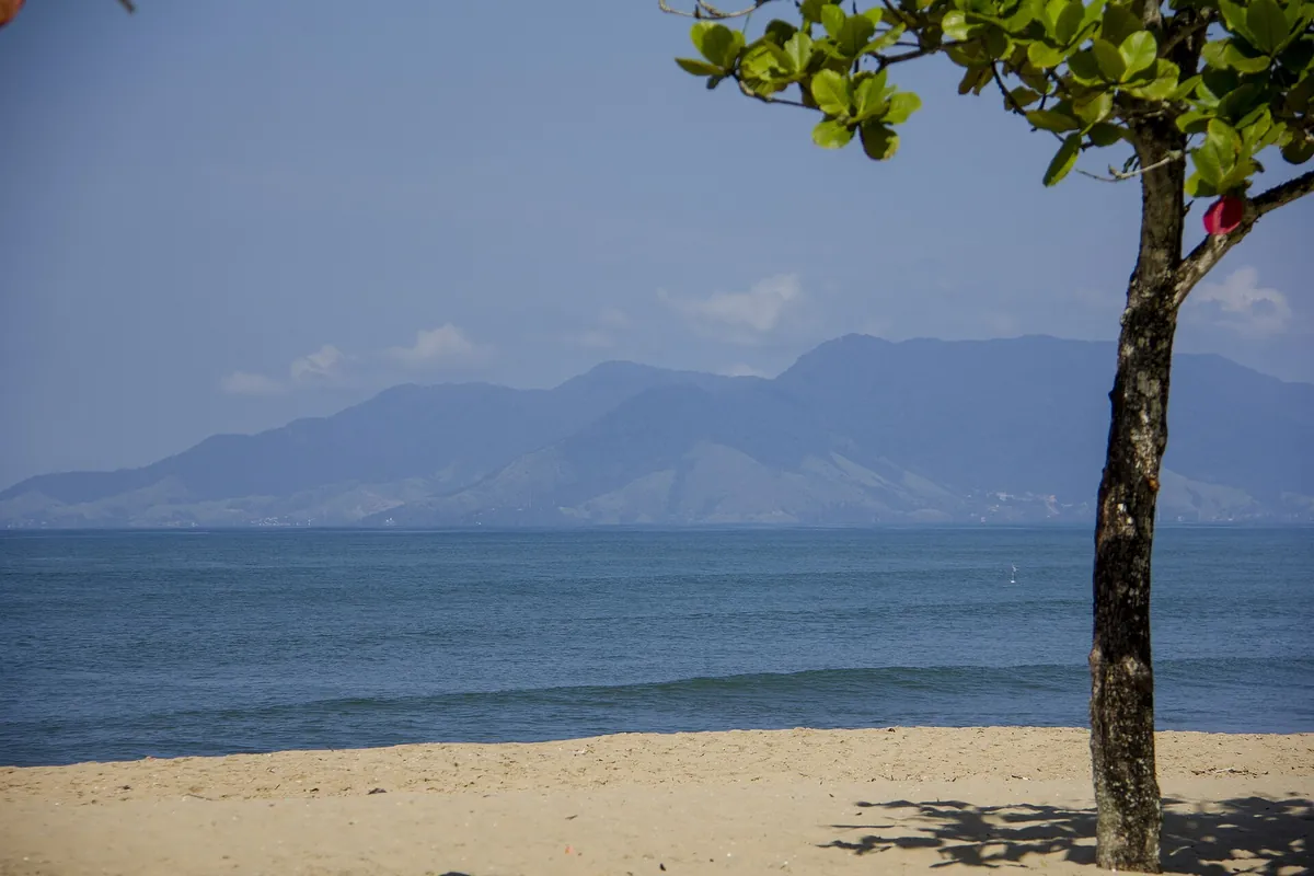 Praia da Cocanha