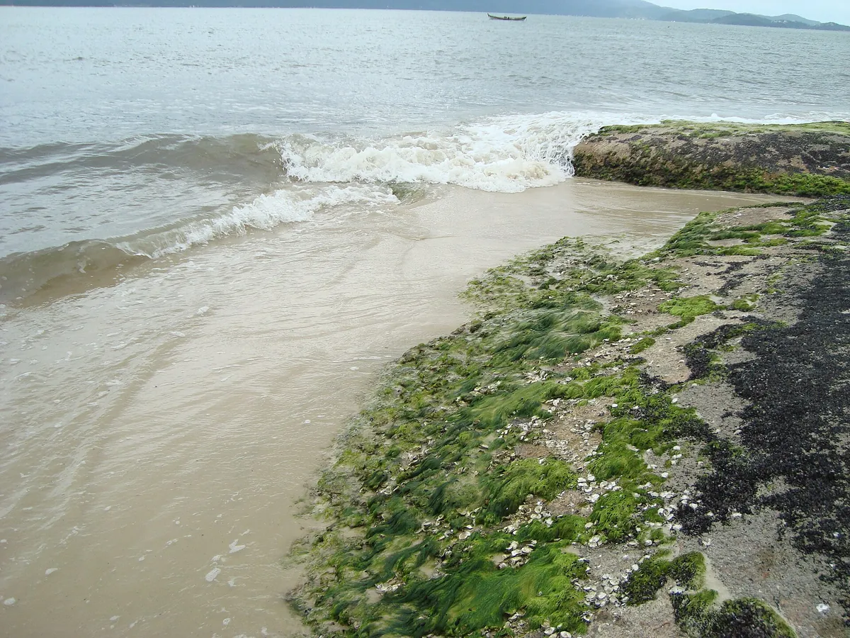 Praia da Daniela