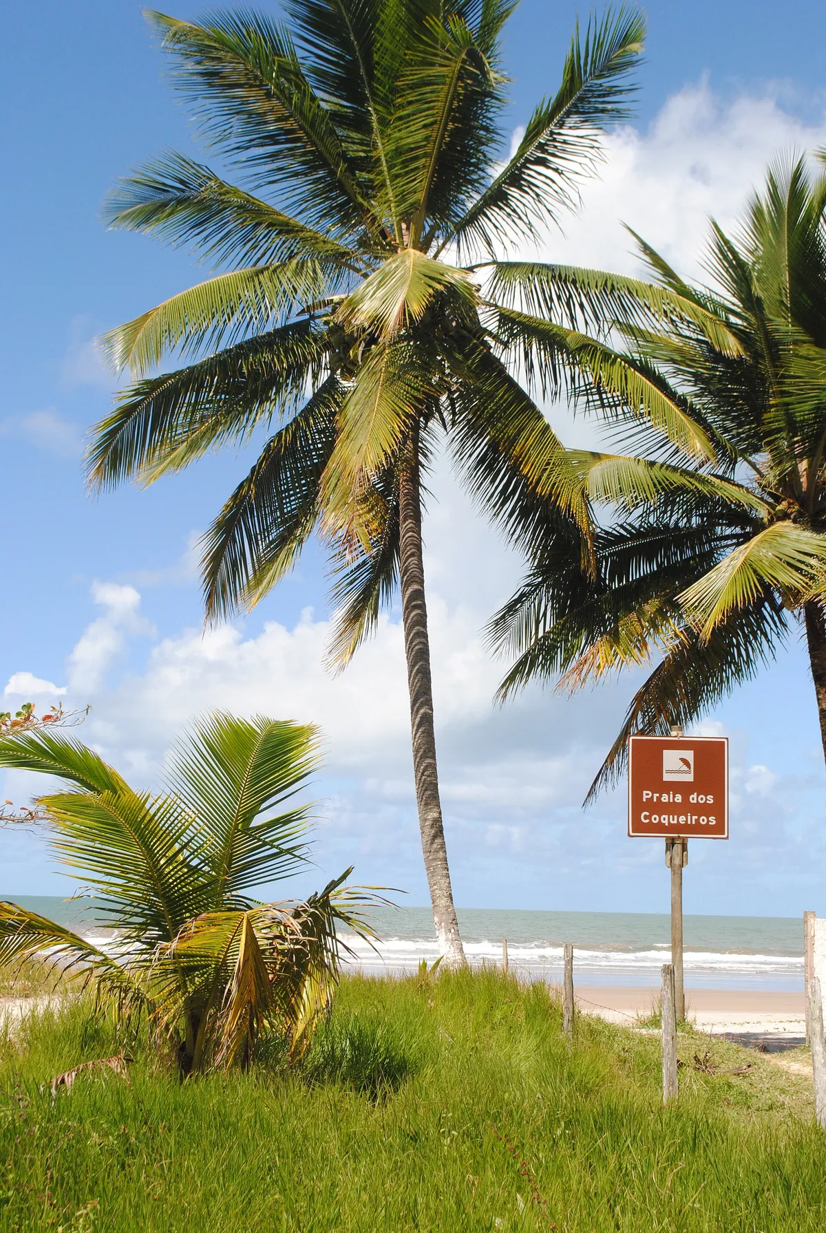 Praia dos Coqueiros