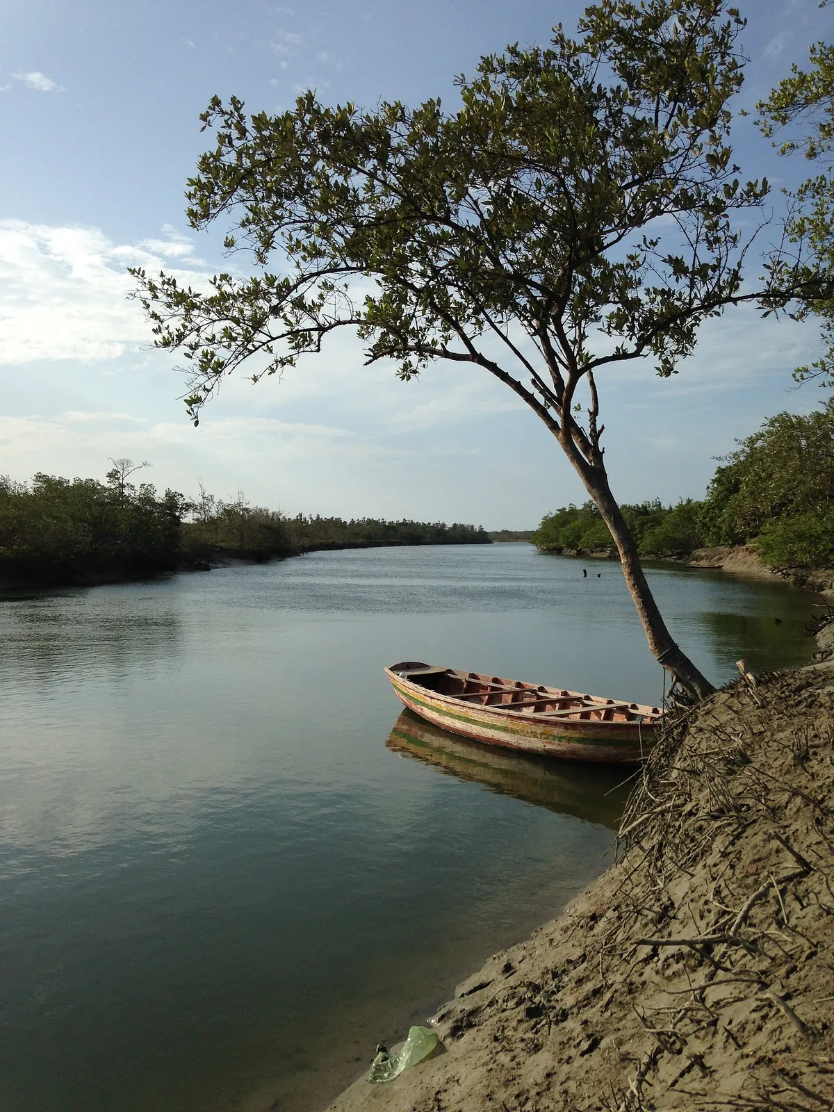 Mangue Seco
