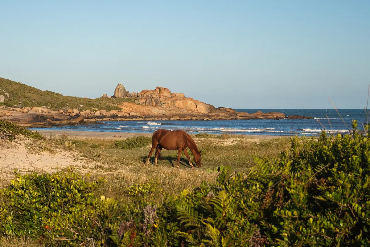 Praia do Gravatá