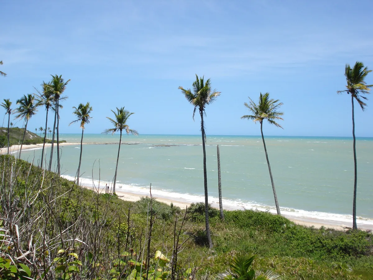 Ponta do Moreira