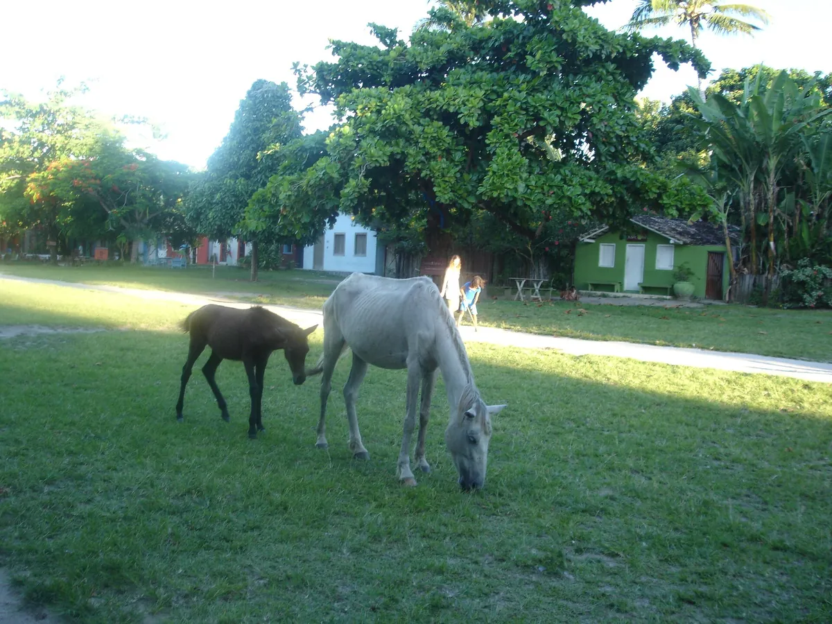 Quadrado de Trancoso