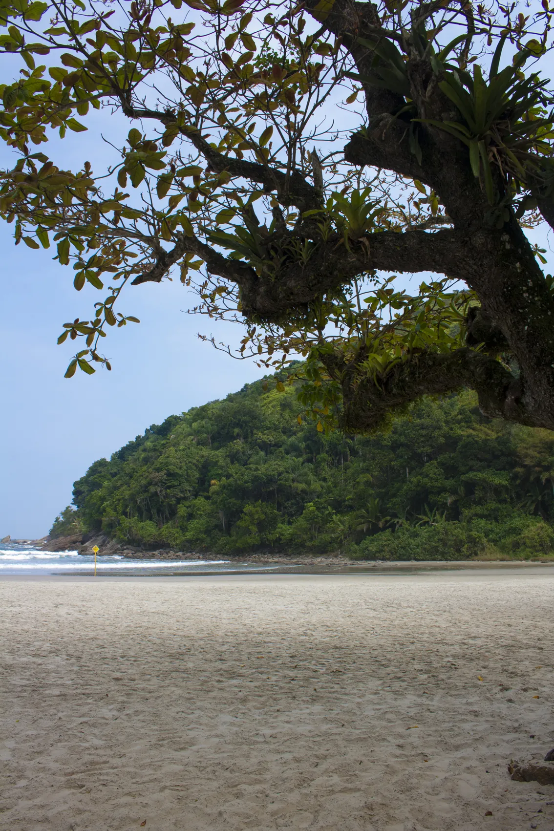 Praia da Baleia