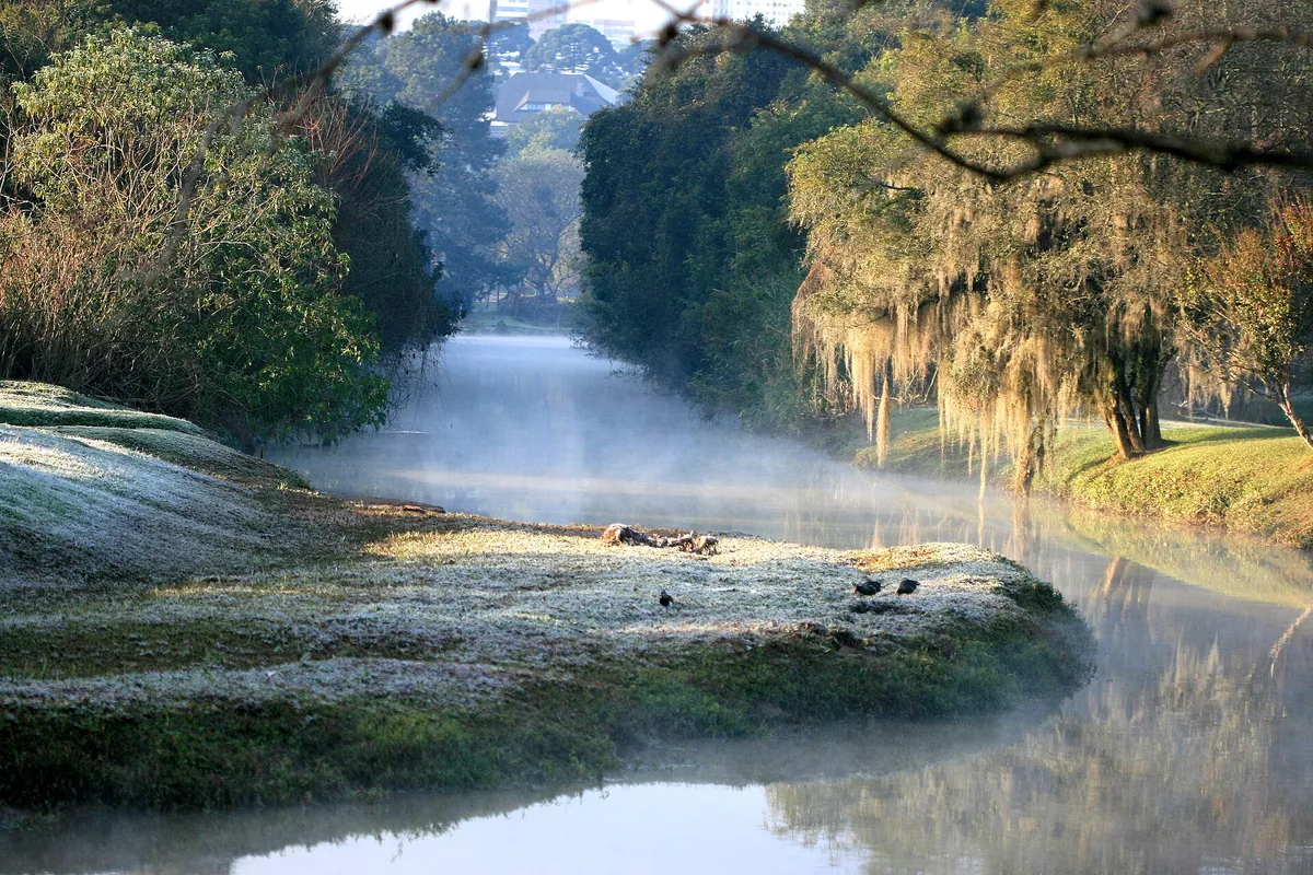 Parque Barigui