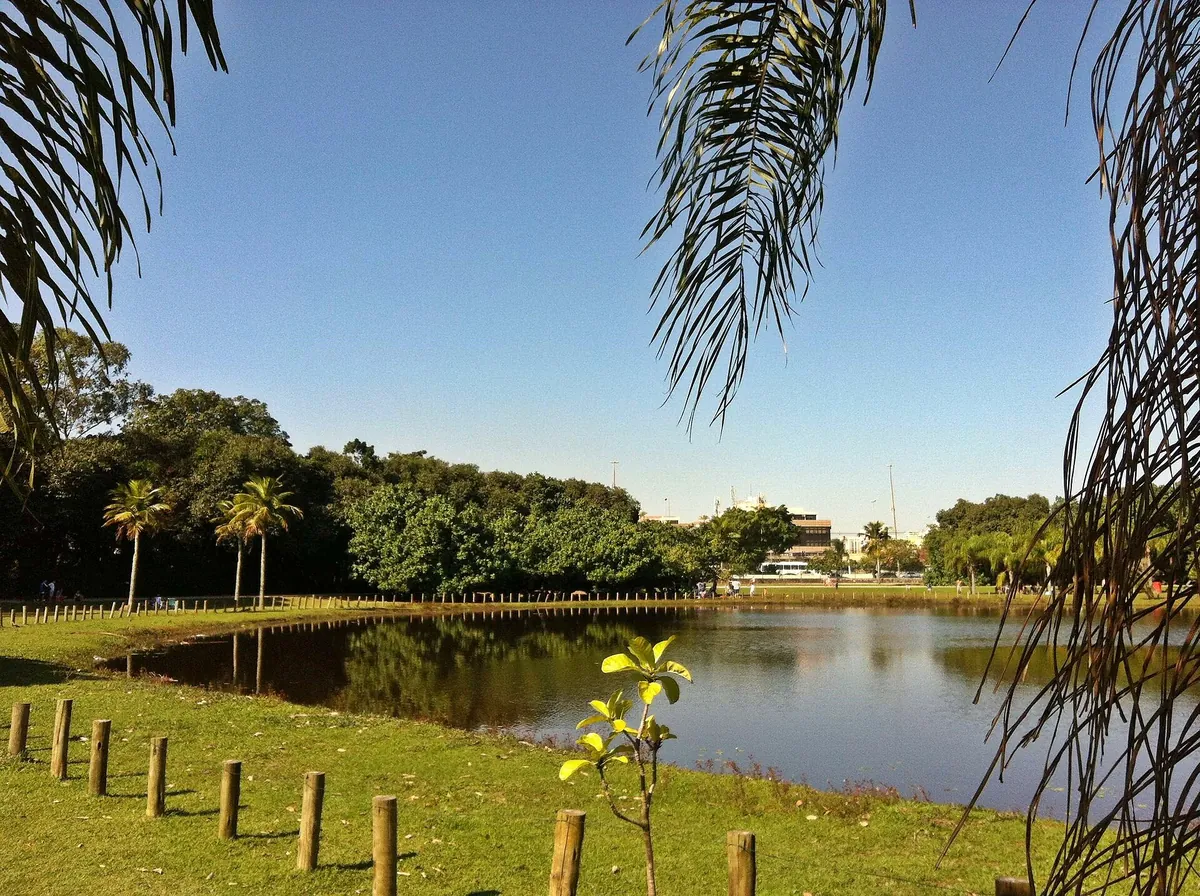 Bosque da Barra