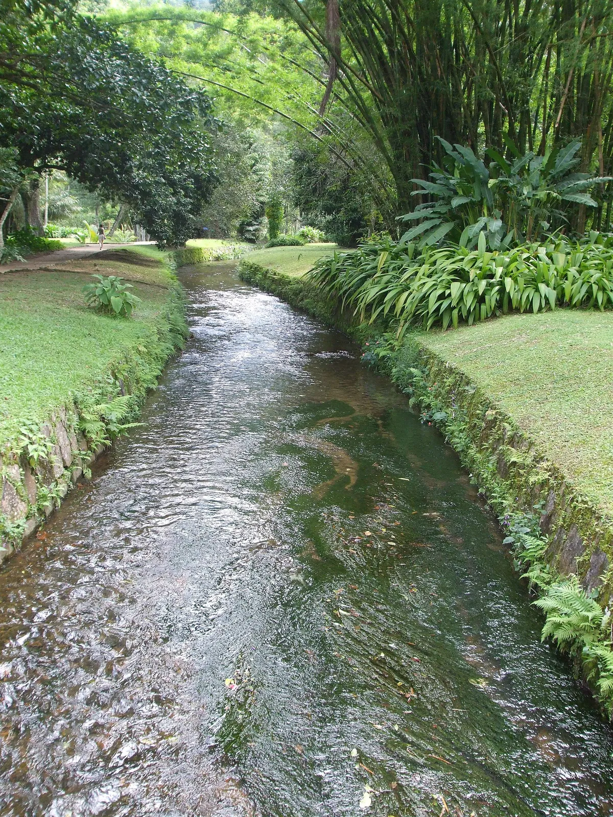 Jardim Botânico do Rio de Janeiro