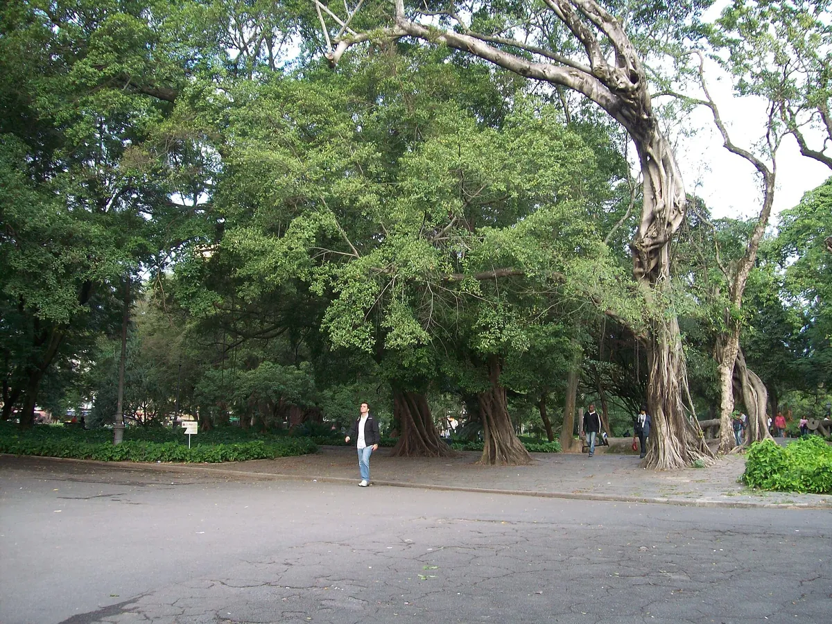 Campo de Santana