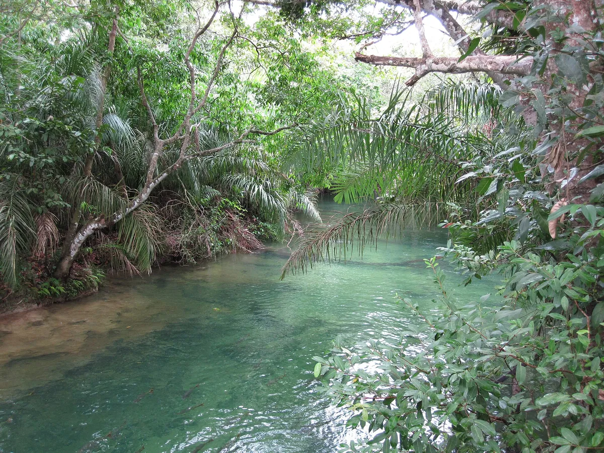 Rio Formoso