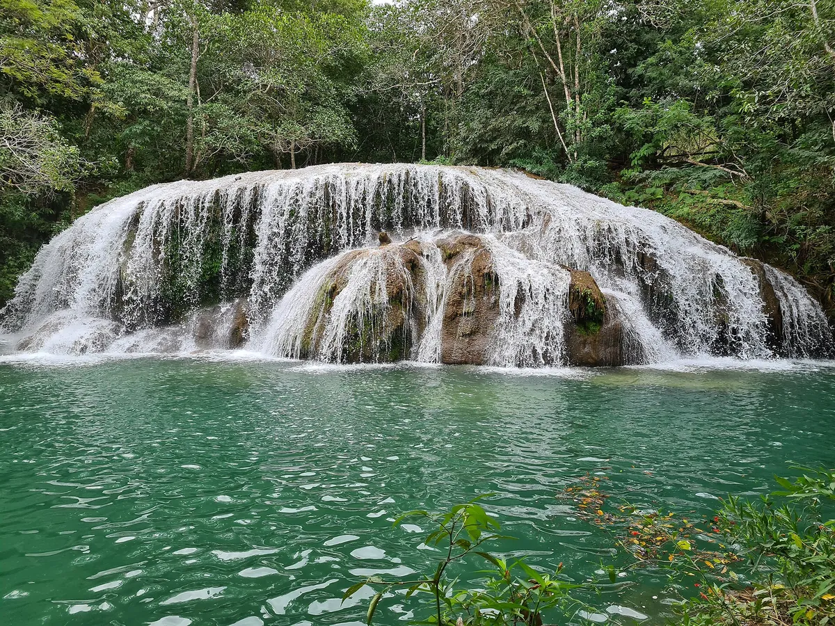 Estância Mimosa