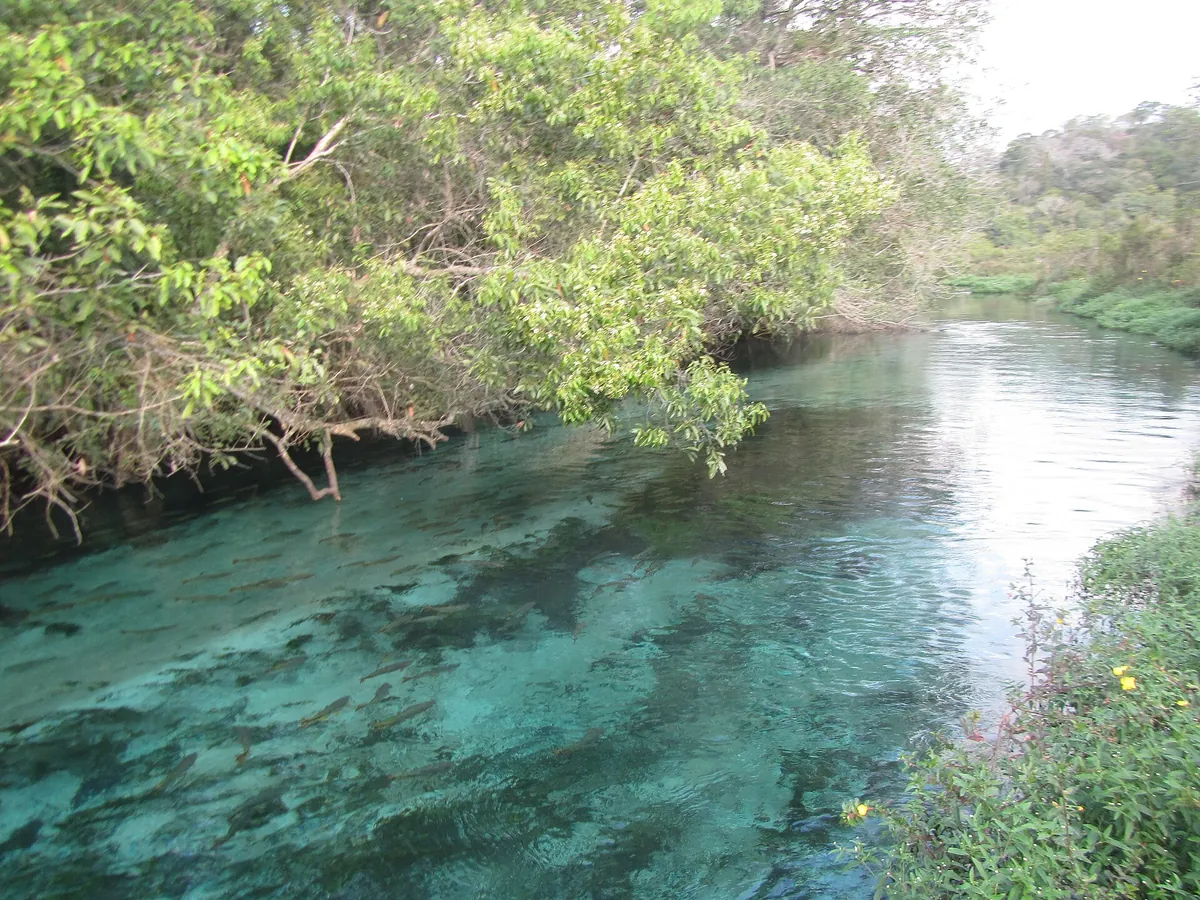 Rio Sucuri