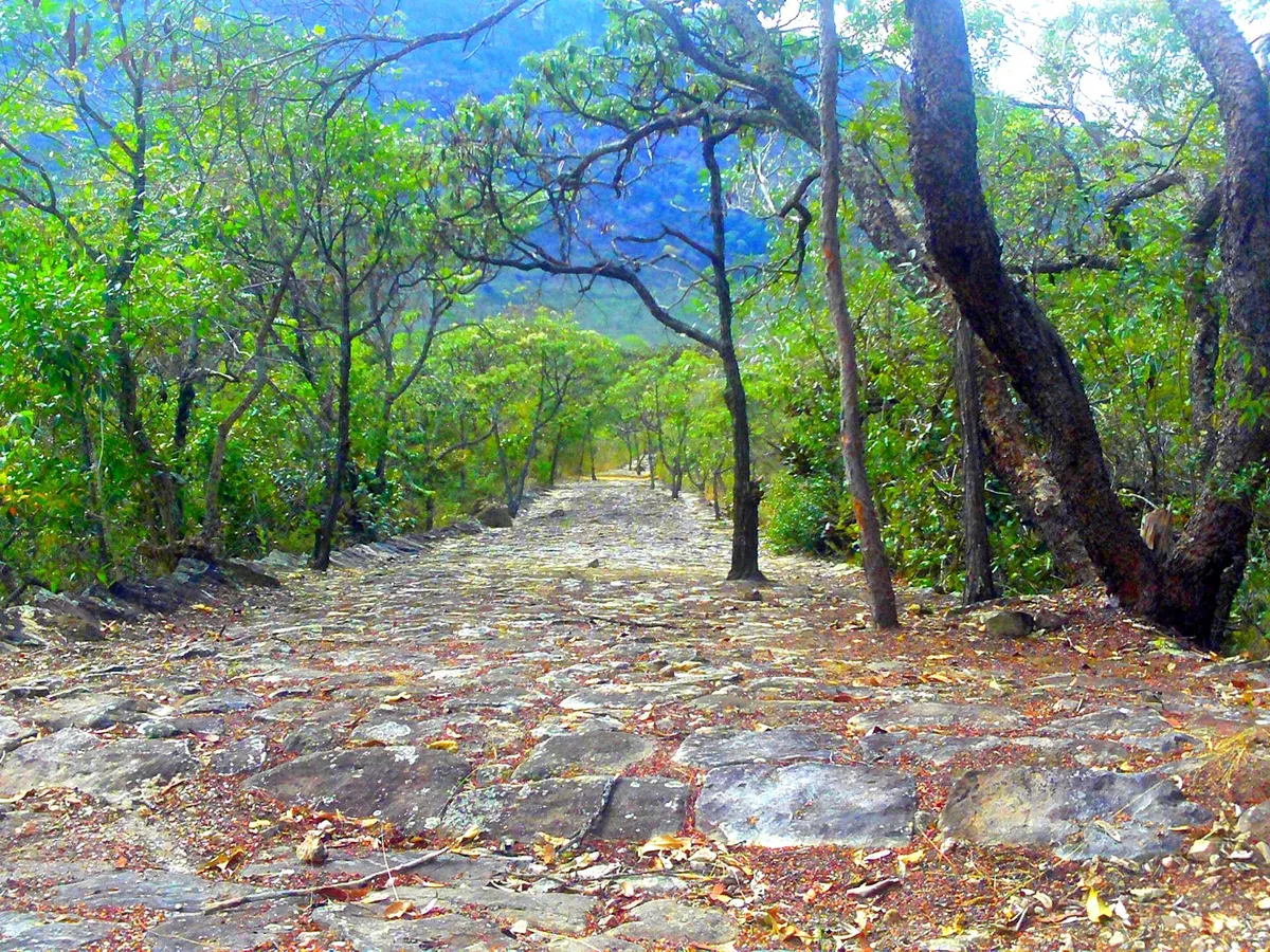 Caminho dos Escravos