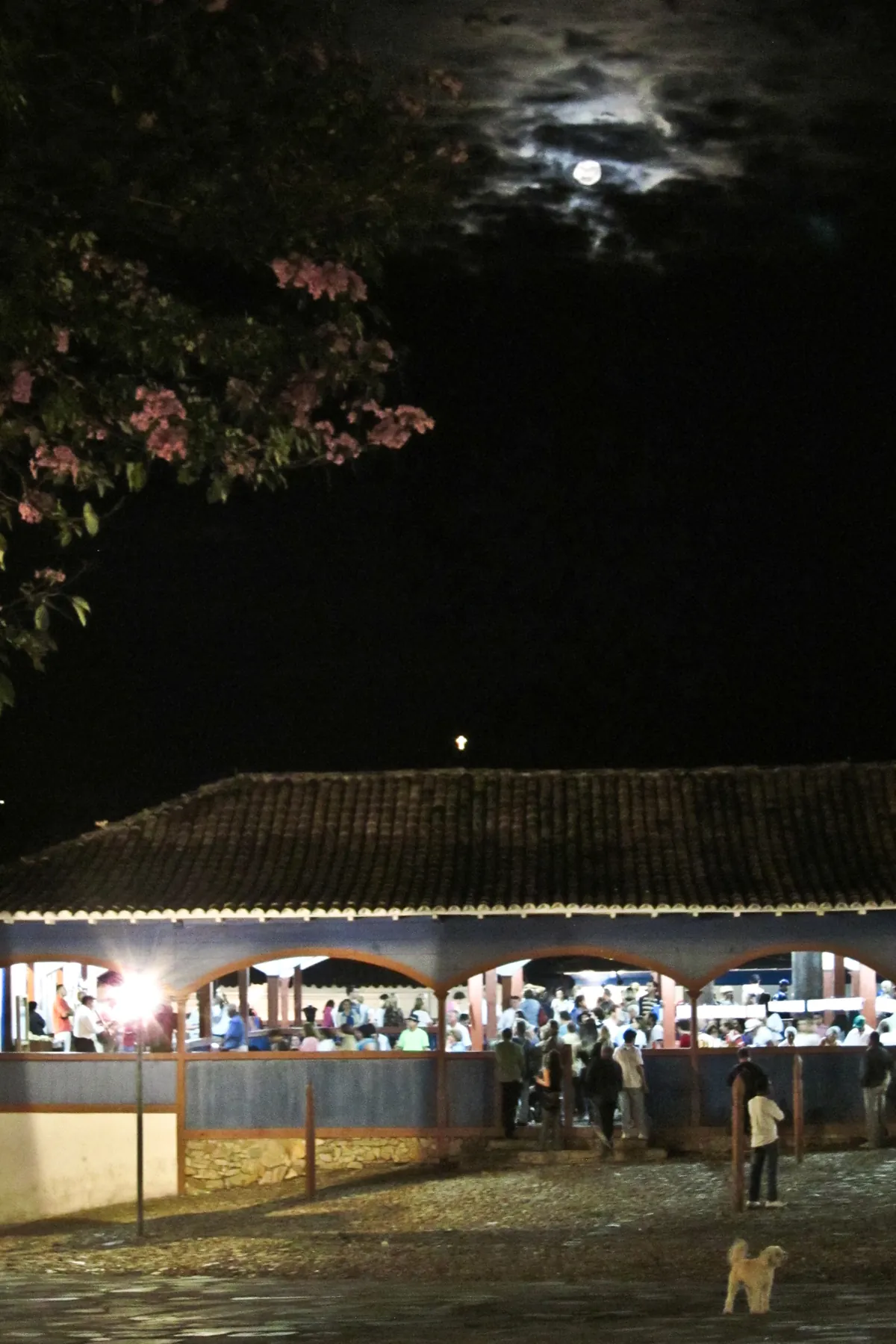 Mercado Velho