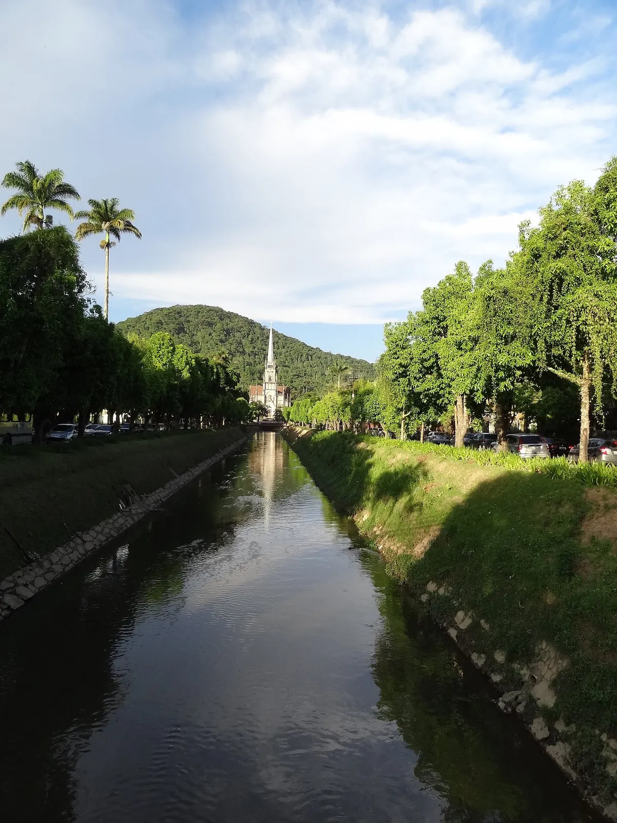 Avenida Koeler