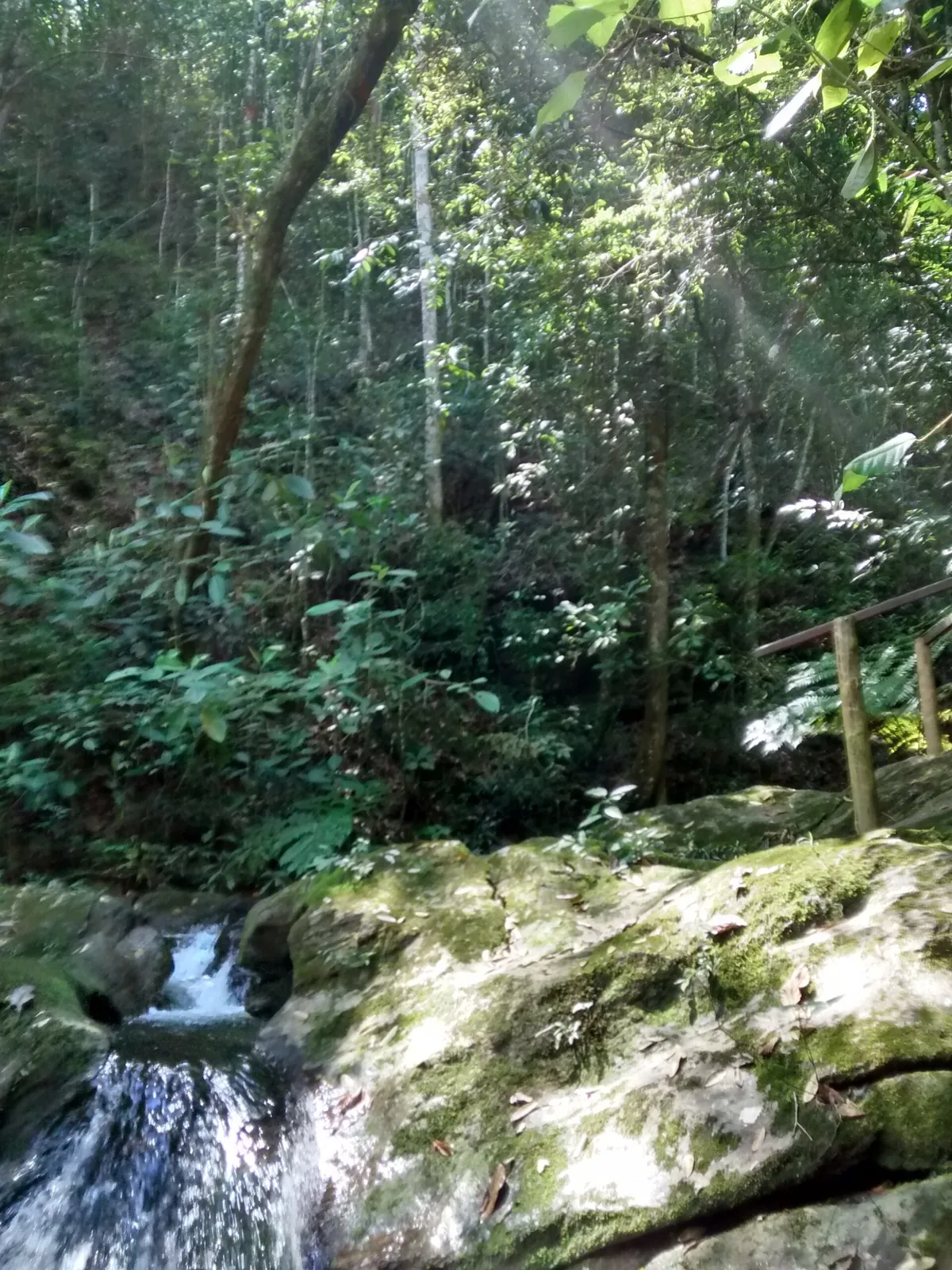 Santuário de Vida Silvestre Vagafogo